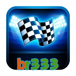 br333