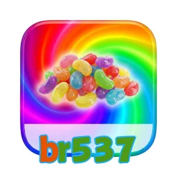 br537