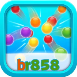br858